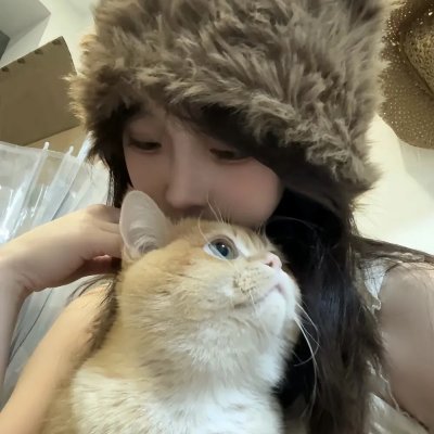 年度热片